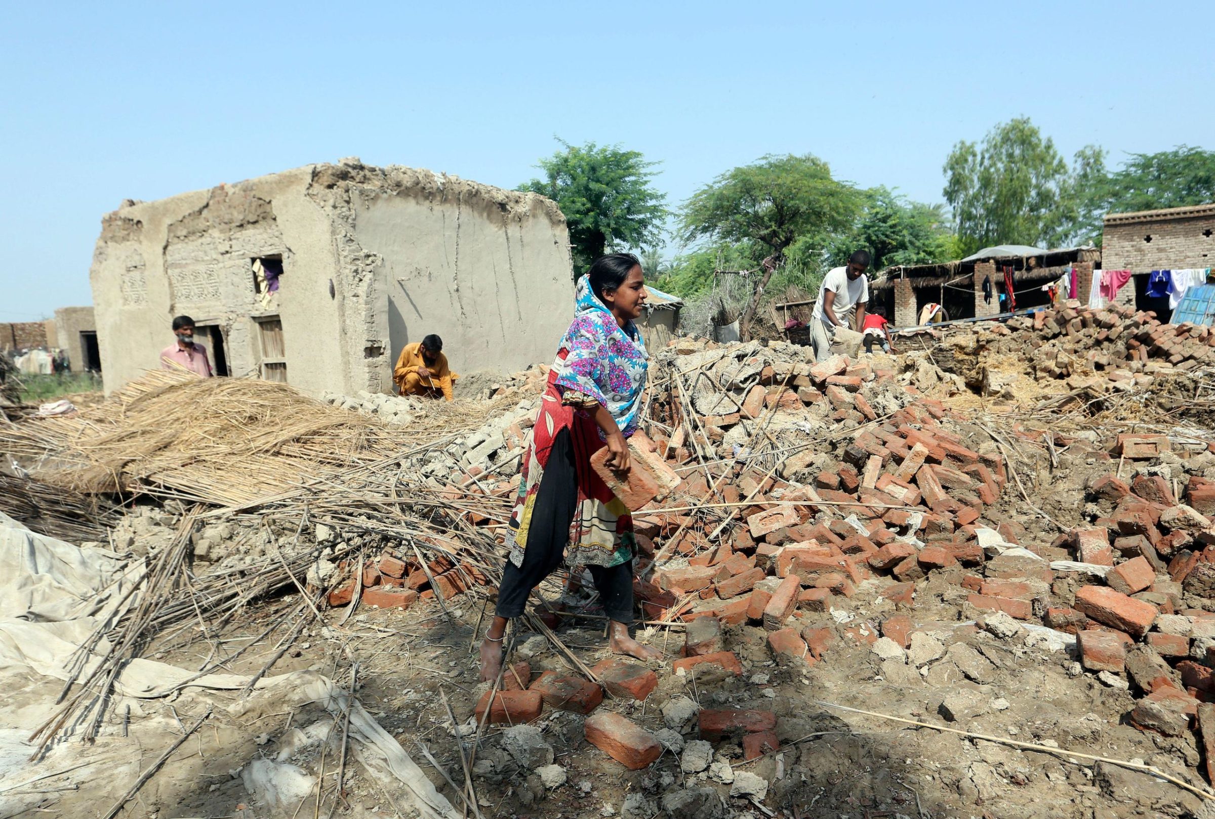 Afghan Refugees Article