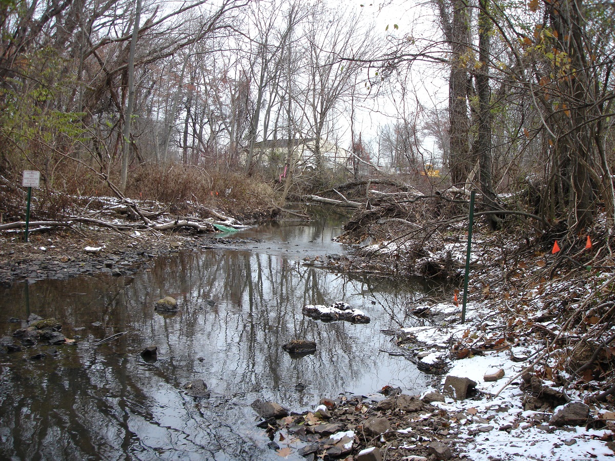 Cornell Dubilier site