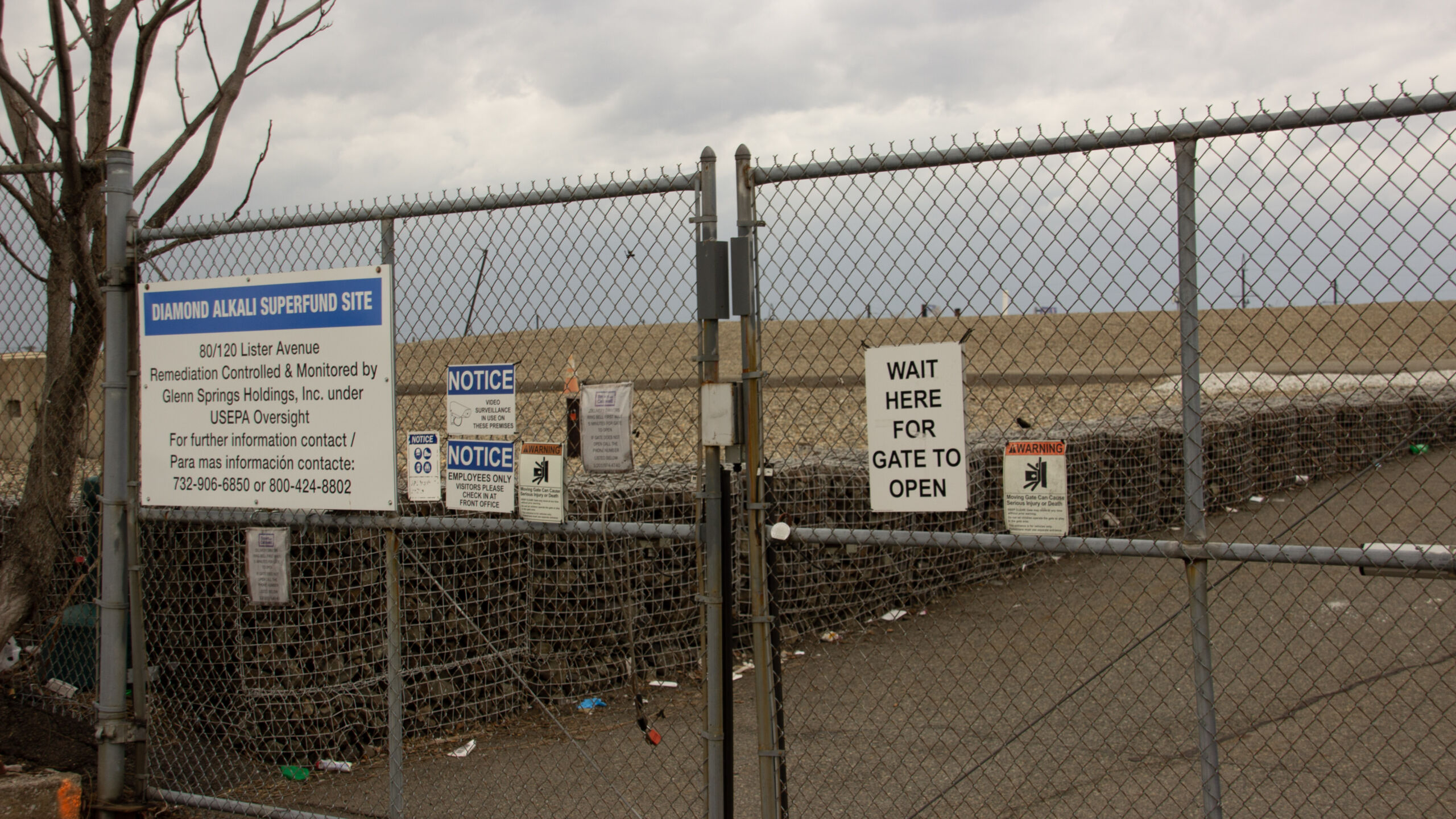 Diamond Alkali site